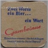 nailagambrinus (14).jpg